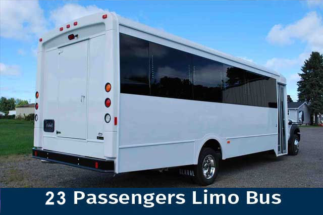 14 Passenger Limo Bus