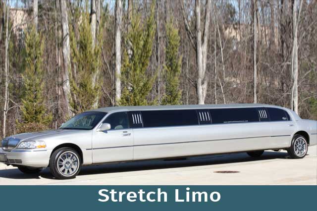 Silver Stretch Limousine